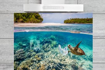 Kitchen Splashback Coral Reef and Turtle