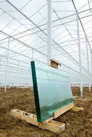greenhouse glass