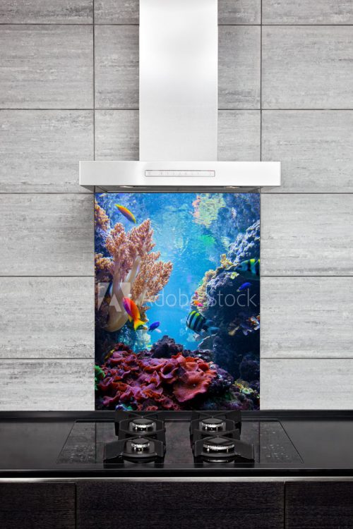 Sea Reef Splash Back