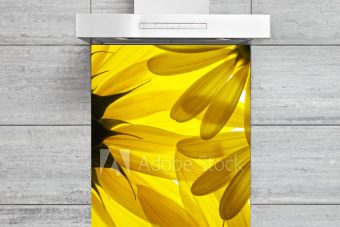 Kitchen Splashback Sunflower