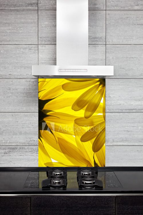 Kitchen Splashback Sunflower