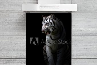 Splashback with Tiger Image