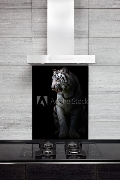 Splashback with Tiger Image