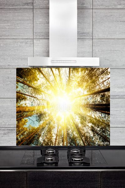 Kitchen Splashback Pine Forest Trees