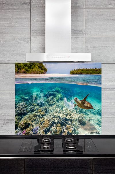Kitchen Splashback Coral Reef and Turtle