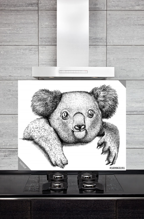Kitchen Splashback Koala Illustration