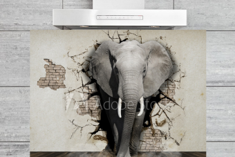 Kitchen Splashback Elephant Coming Out Of The Wall