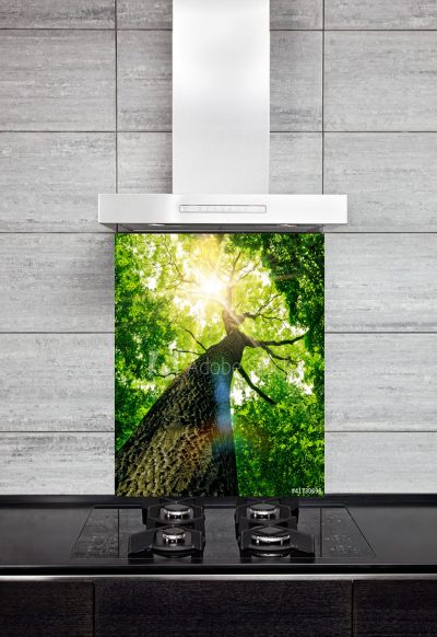 Kitchen Splashback Forest