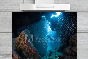 Kitchen Splashback Diver