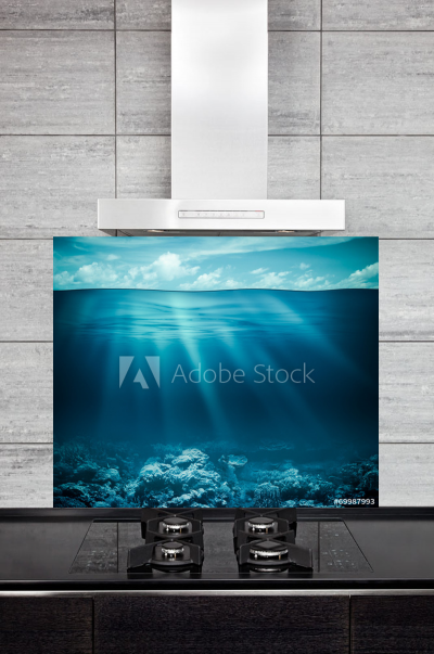 Kitchen Splashback Underwater Coral Reef