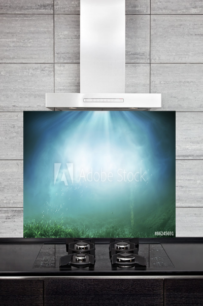 Kitchen Splashback Underwater Illustration