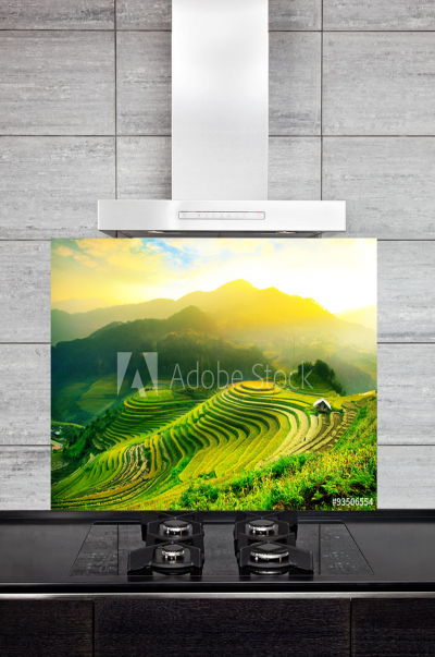 Kitchen Splashback Rice Fields