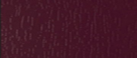 Burgundy Burgundy
